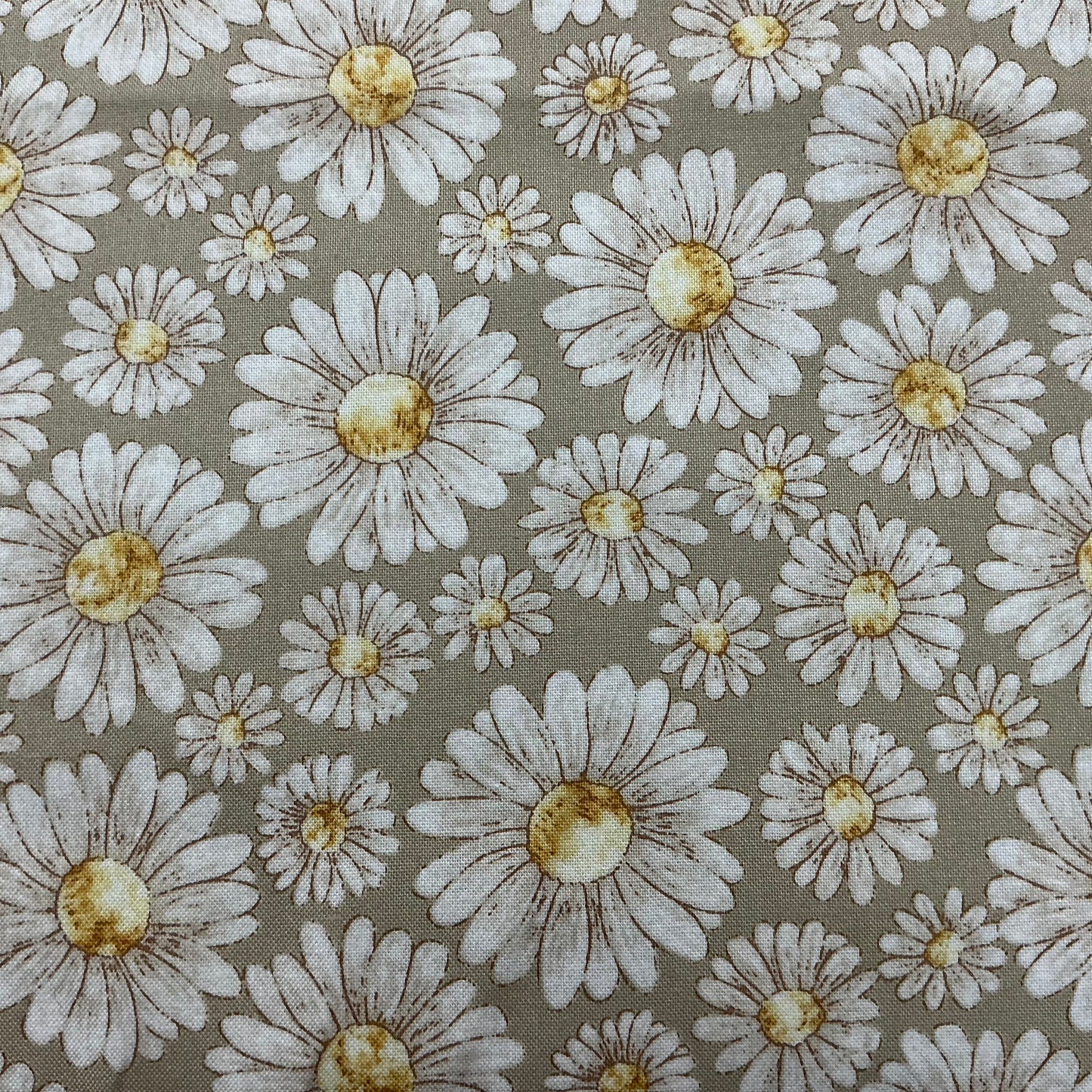 Daisies on Taupe - Tiny Waddles