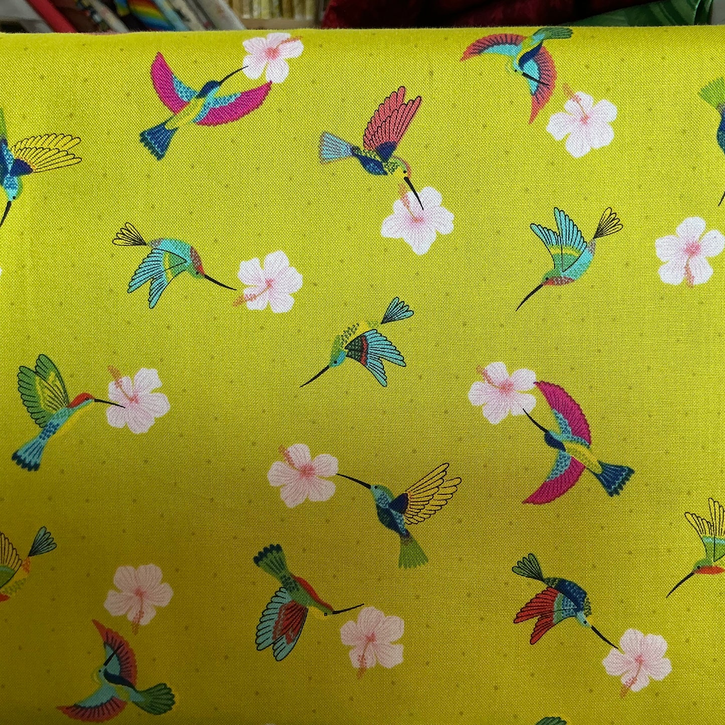 Hibiscus Hummingbird Tropical Green