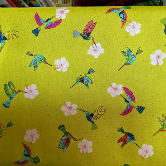 Hibiscus Hummingbird Tropical Green