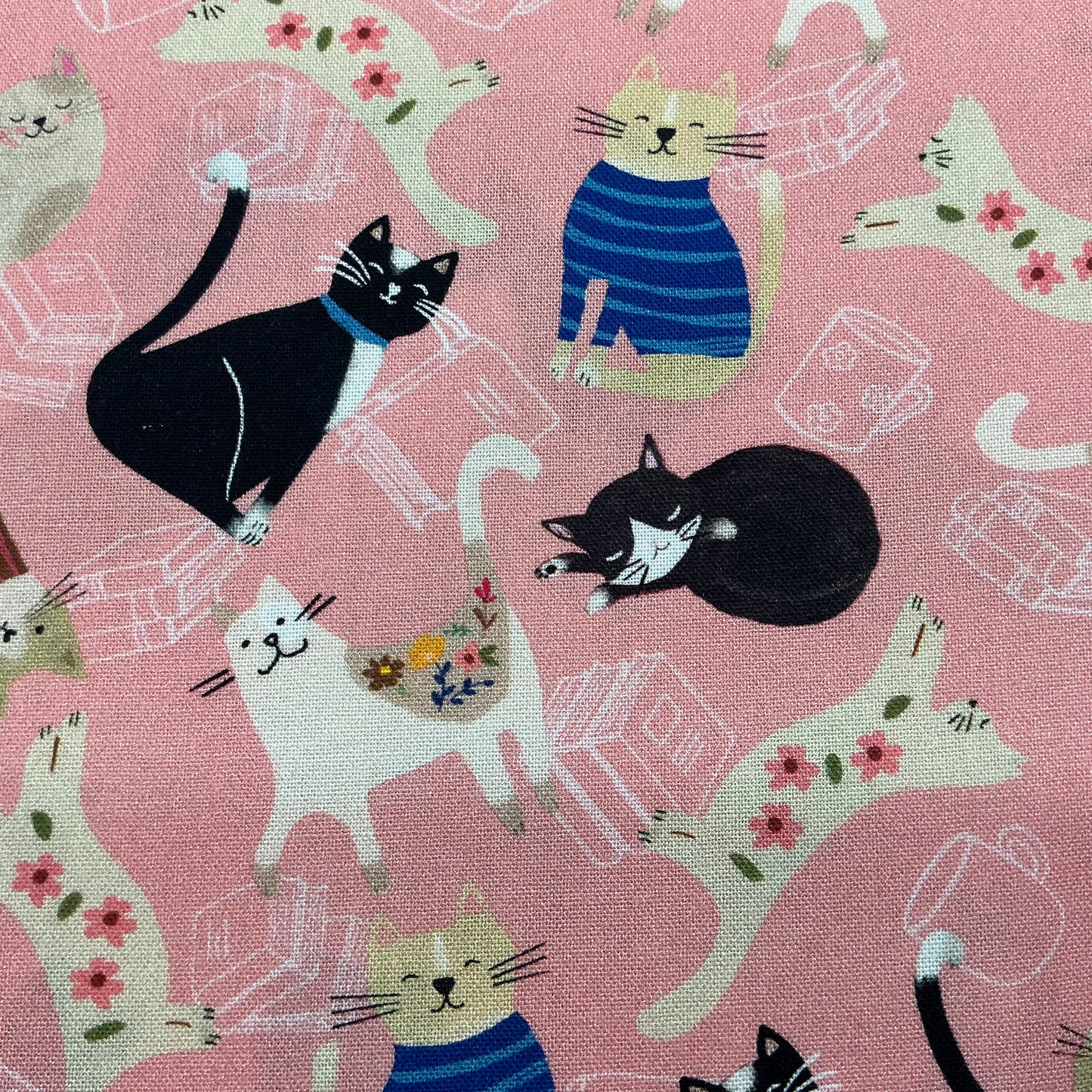 Smiley Cats  - Every Home Every Cat