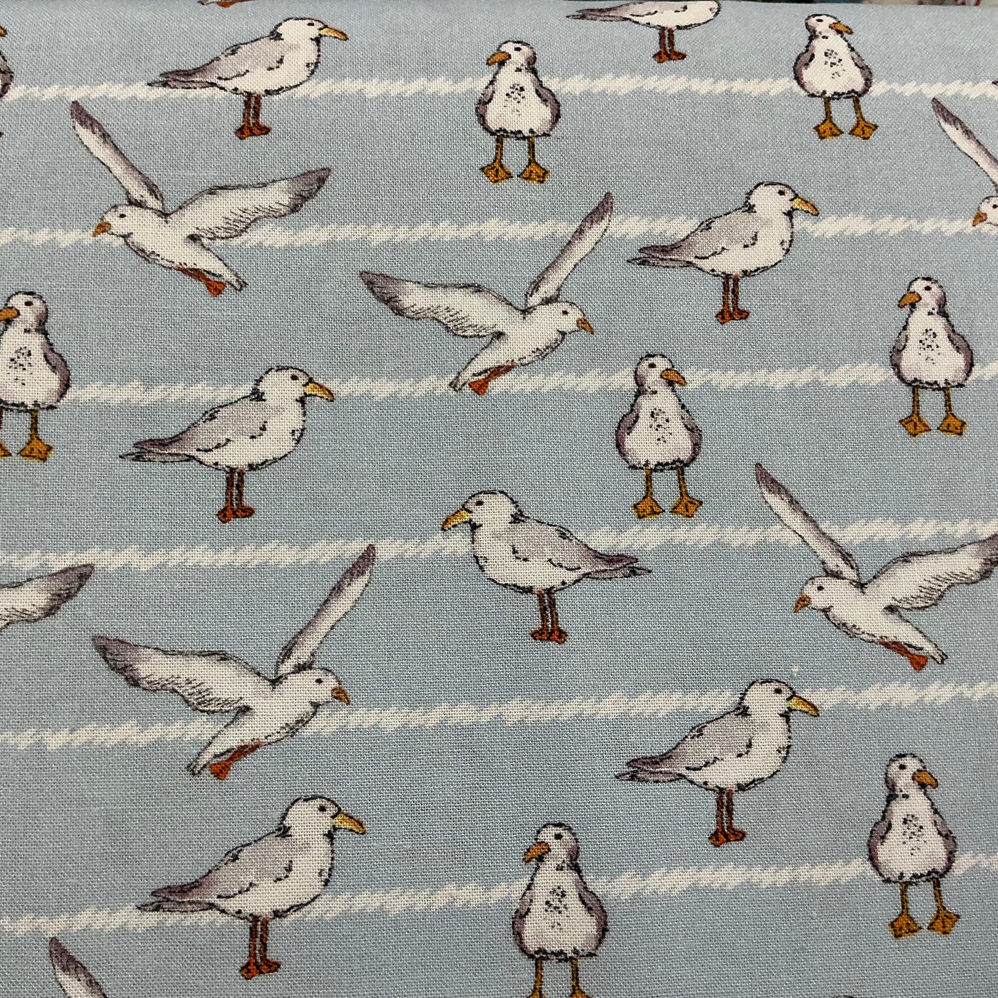 Seagulls - Blue - Sundaes by the Sea