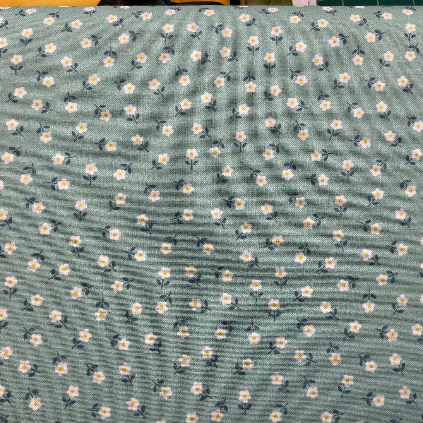 Daisies - Aqua - Boho Blooms