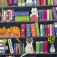 Bookshelves & Cats - Multicoloured