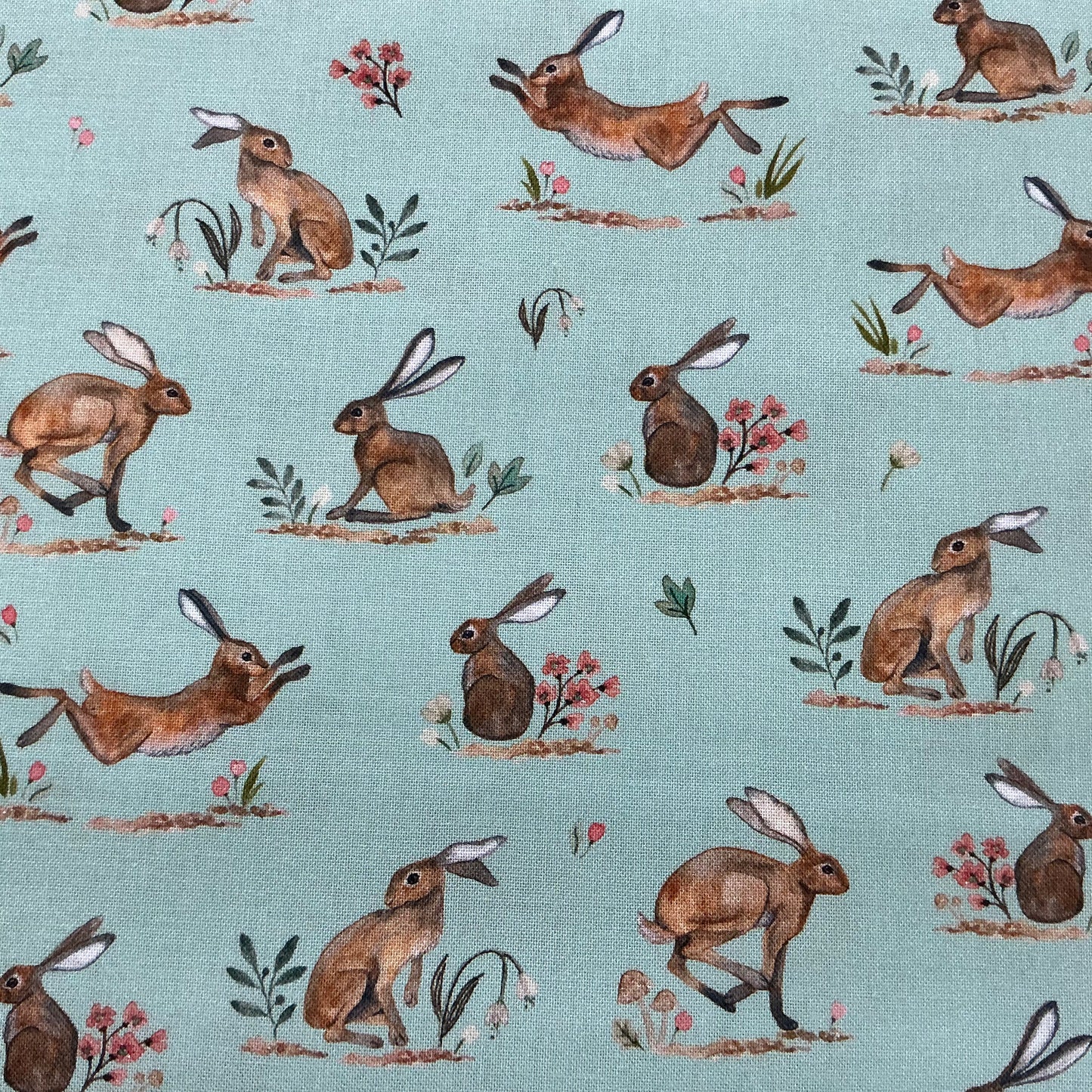 Hares - Pale Teal - In The Forest