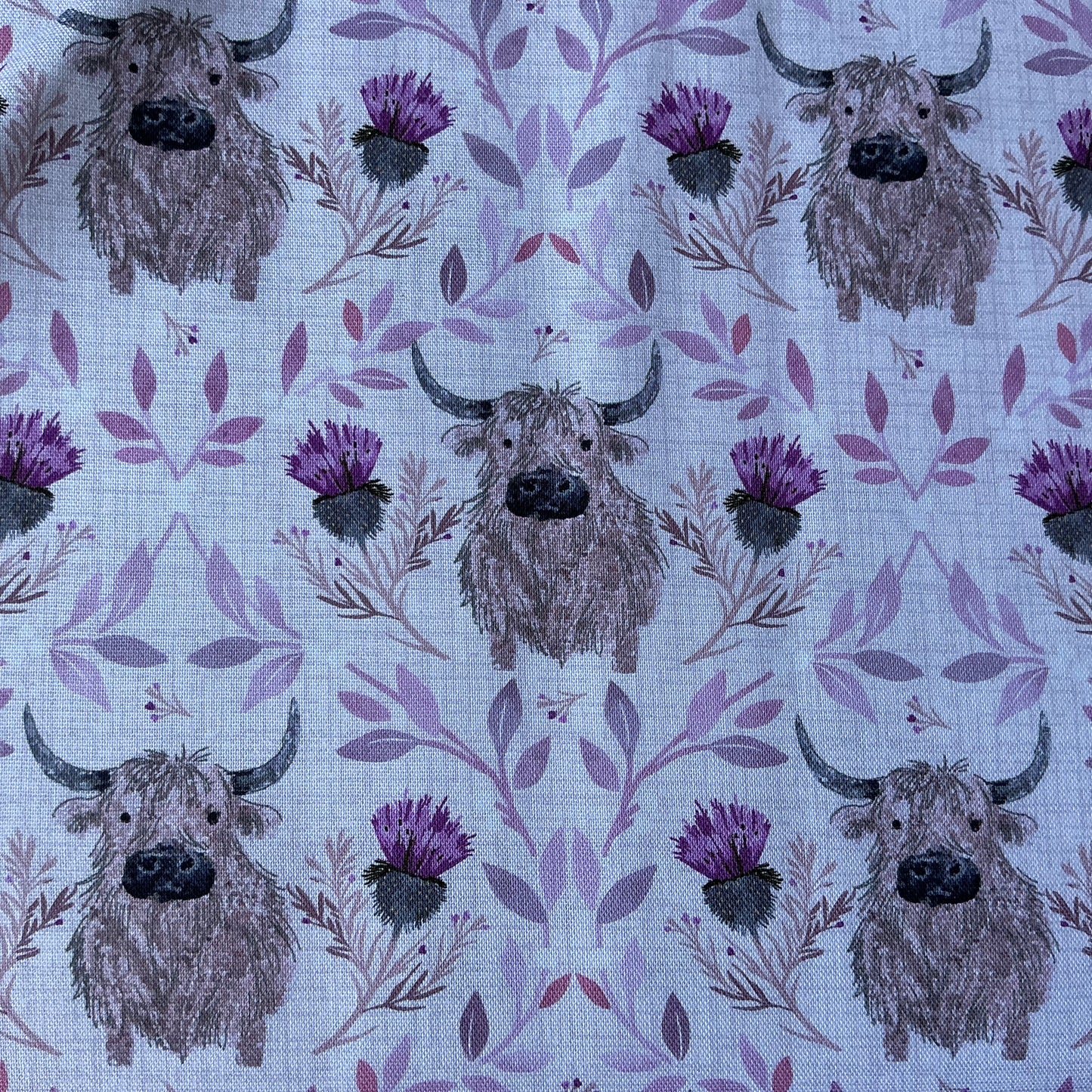 Caledonian Cows & Thistles - Blackbird Farm