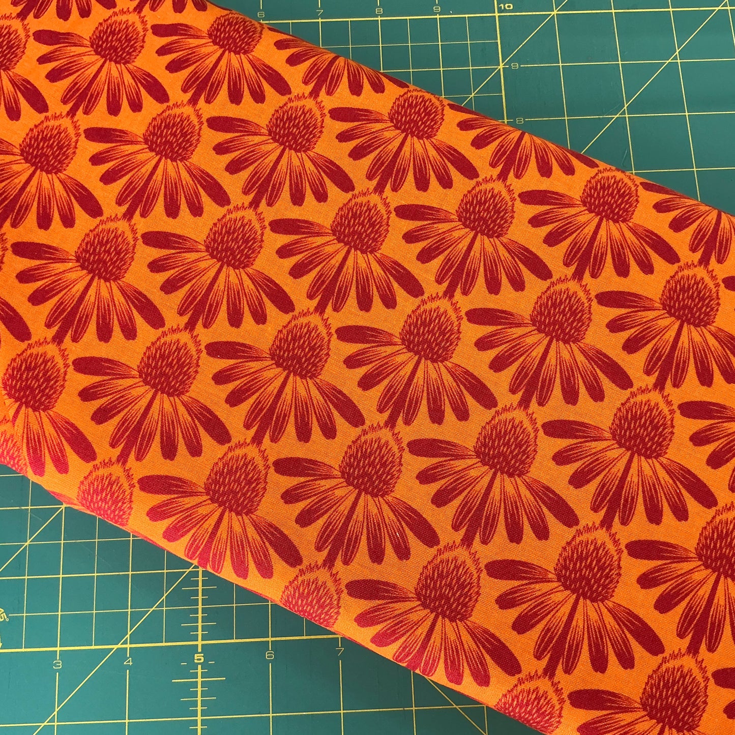 Echinacea, Red Flowers on Tangerine. Indelible. AMT