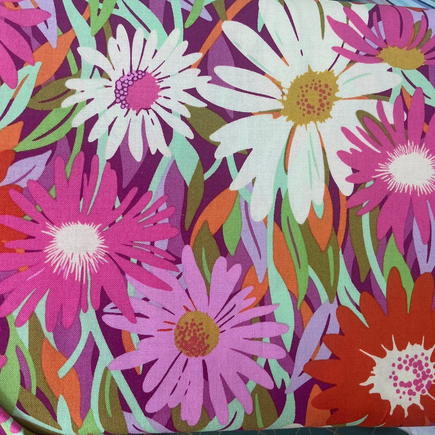 Daisy Crush - Pink, Orange, Green - Violet