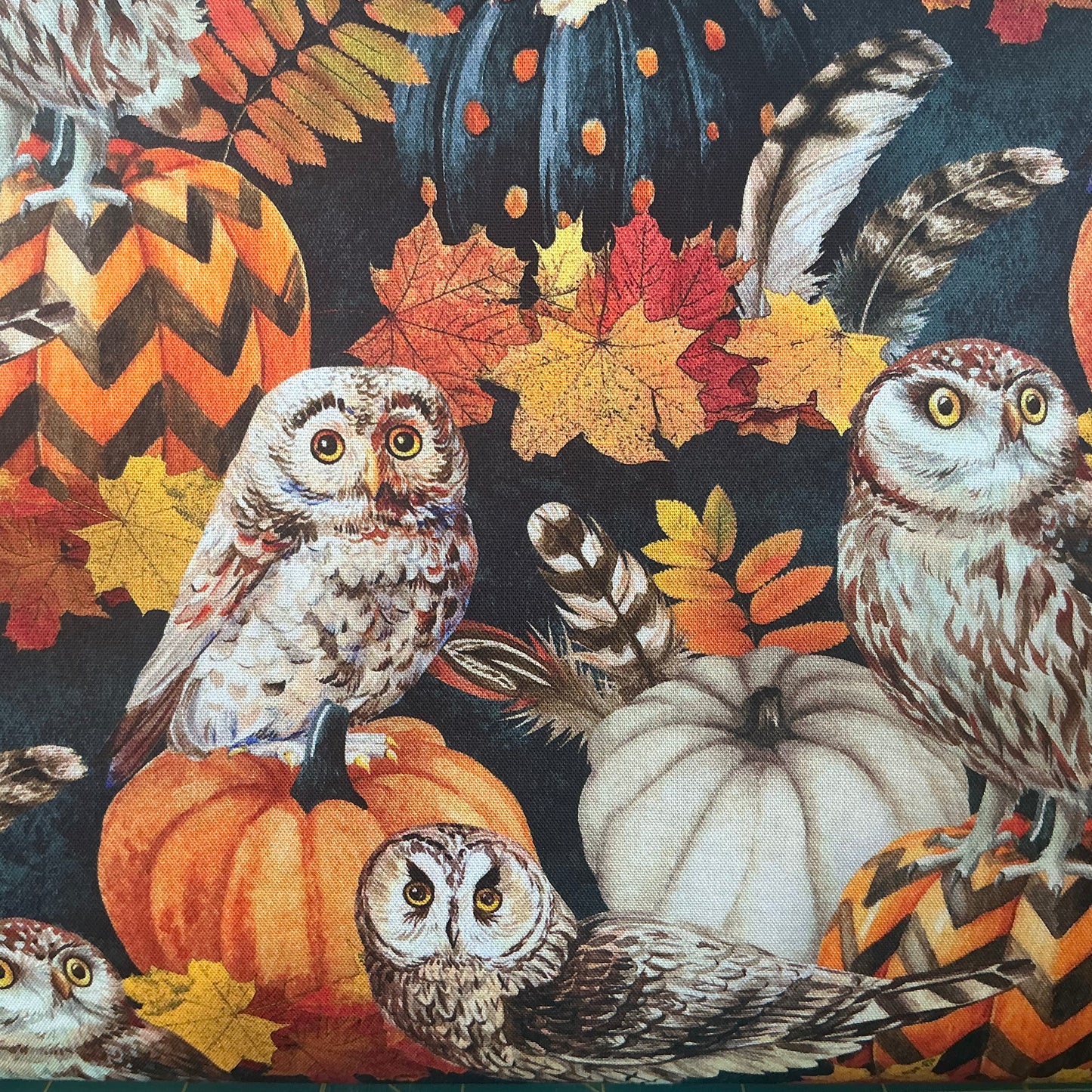 Autumn Night Owl & Feathers- Black, Oranges, Pumpkins