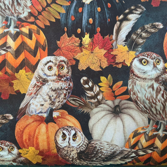 Autumn Night Owl & Feathers- Black, Oranges, Pumpkins