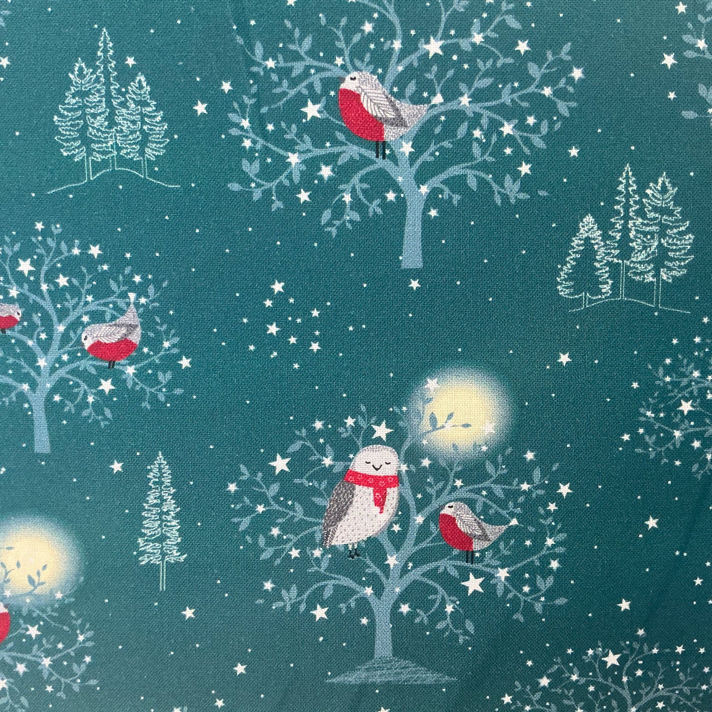 Owls & Robins - Teal - Winter Moonlight by Susan Wheeler