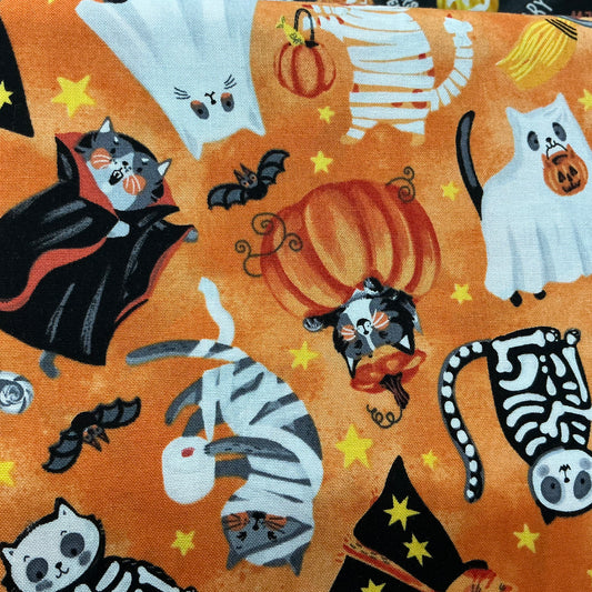 Cats in Costume - Orange - The Boo Crew