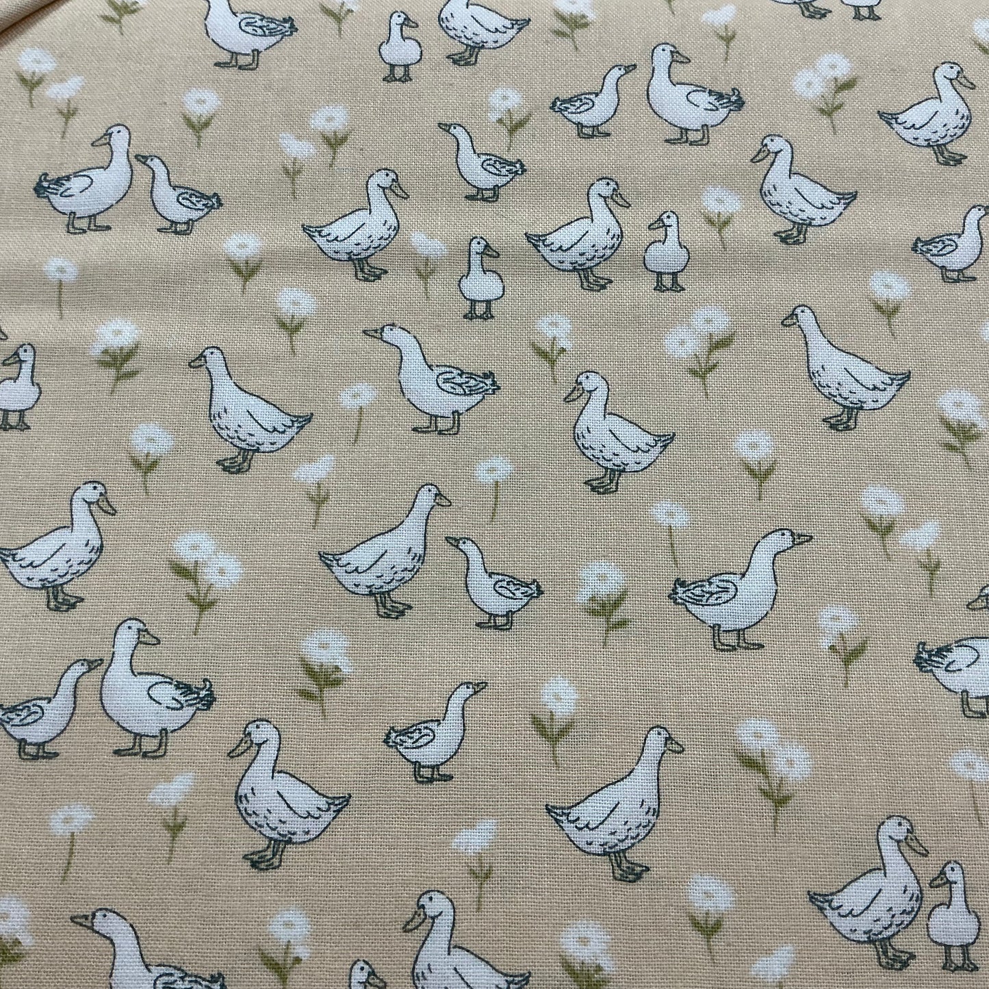 Ducks & Ducklings - Yellow - Little Ones