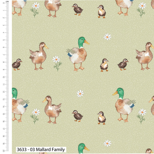 Mallard Family - Farmyard Friends