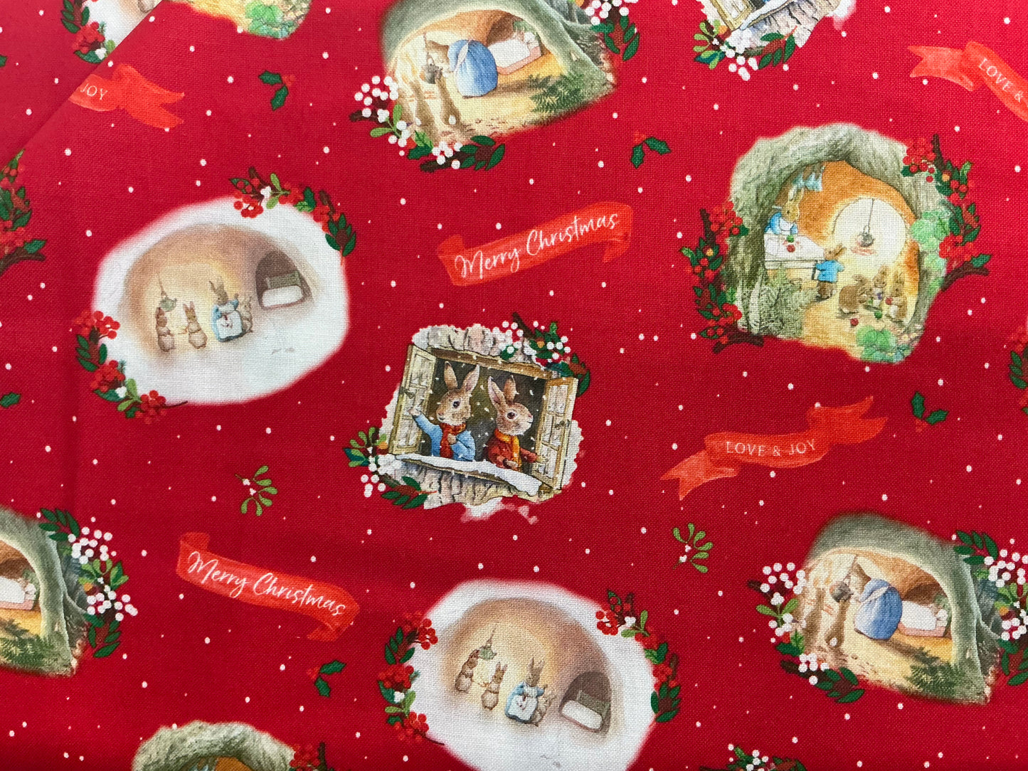 Festive Morn - Peter Rabbit - Red
