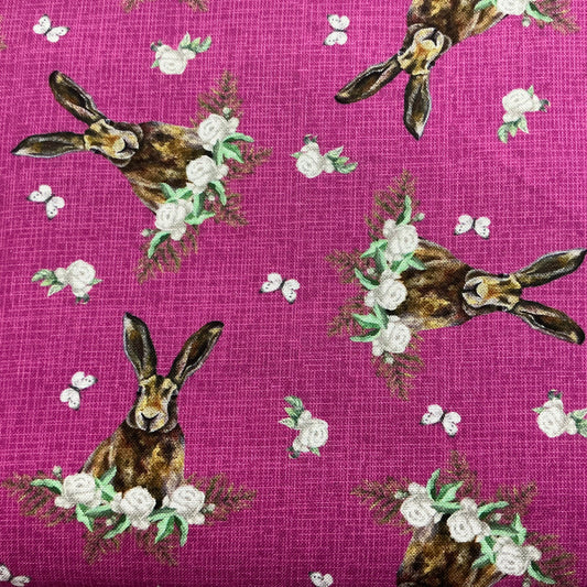 Rosy Hare
