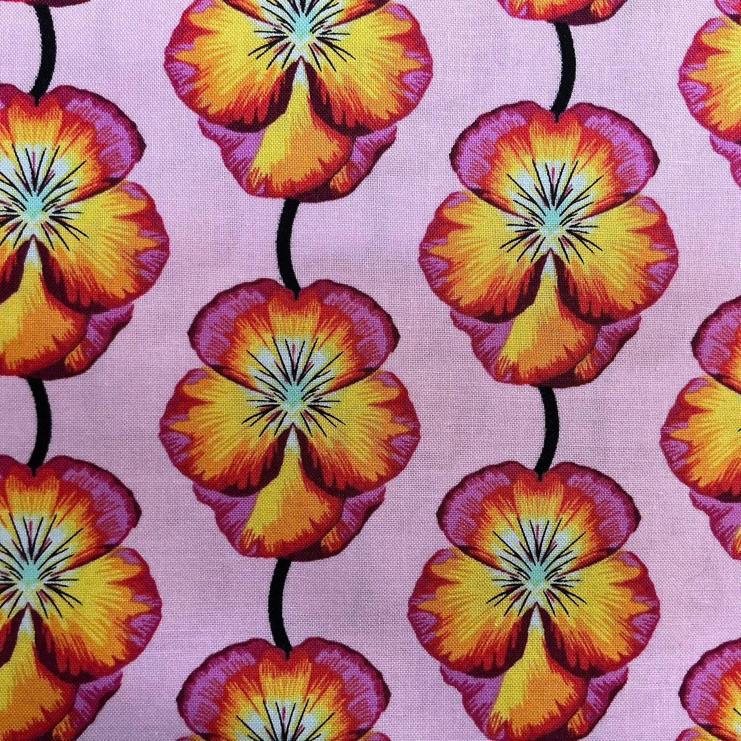 Pansy Pink & Yellow - Anna Maria Parry (Horner)