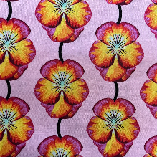 Pansy Pink & Yellow - Anna Maria Parry (Horner)