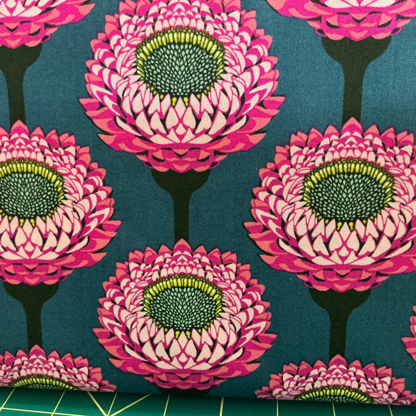 Strawflower (Helichrysum) - Anna Maria Horner (Parry)