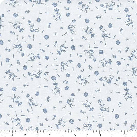 Blue Fossils - Fossil Folks