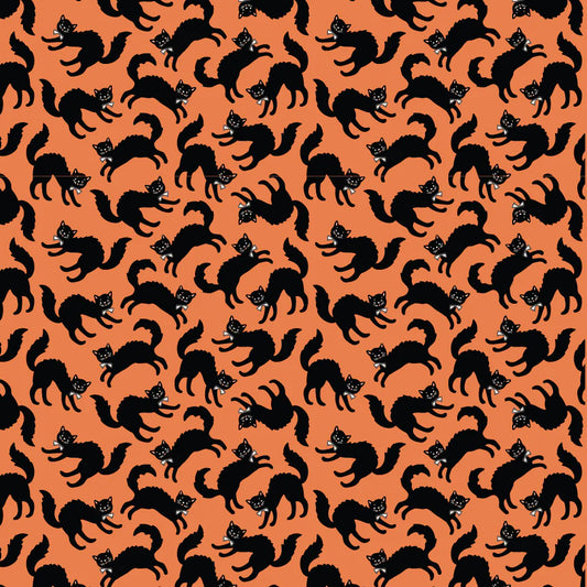 Black Cats with Bows on Orange