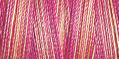 Gutermann Sulky Variegated 30 300M (#4030)