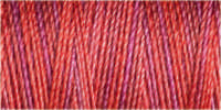 Gutermann Sulky Variegated 30 300M (#4042)