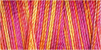 Gutermann Sulky Variegated 30 300M (#4043)