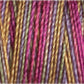 Gutermann Sulky Variegated 30 300M (#4045)