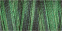 Gutermann Sulky Variegated 30 300M (#4051)