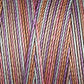 Gutermann Sulky Variegated 30 300M (#4078)