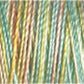 Gutermann Sulky Variegated 30 300M (#4101)