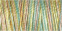 Gutermann Sulky Variegated 30 300M (#4101)