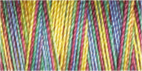 Gutermann Sulky Variegated 30 300M (#4113)