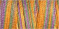 Gutermann Sulky Variegated 30 300M (#4116)