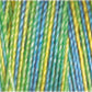 Gutermann Sulky Variegated 30 300M (#4120)