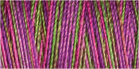 Gutermann Sulky Variegated 30 300M (#4123)