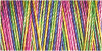 Gutermann Sulky Variegated 30 300M (#4126)