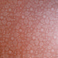 Doodle Days Tonal Flowers Pale Peach - End of bolt 1.25m