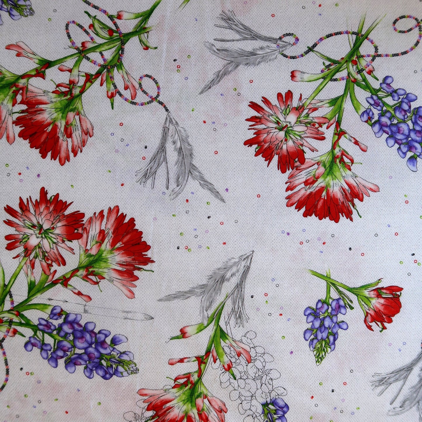 Indian Paintbrush, Feathers And Flowers